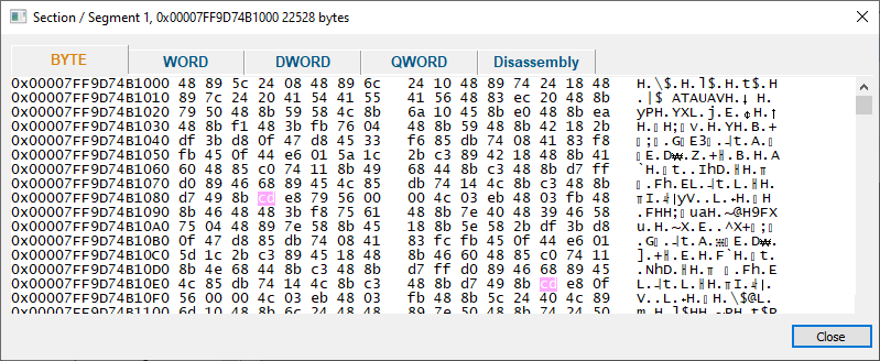 memory-inspection-dialog-sections