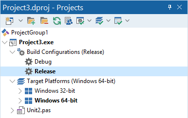 DelphiRelease_x64